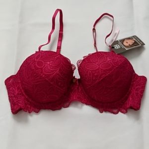 NWT Daisy Fuentes bra